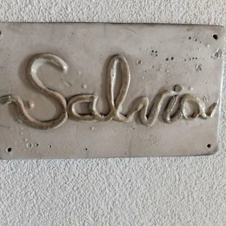 Palazzo Gritti, Salvia
